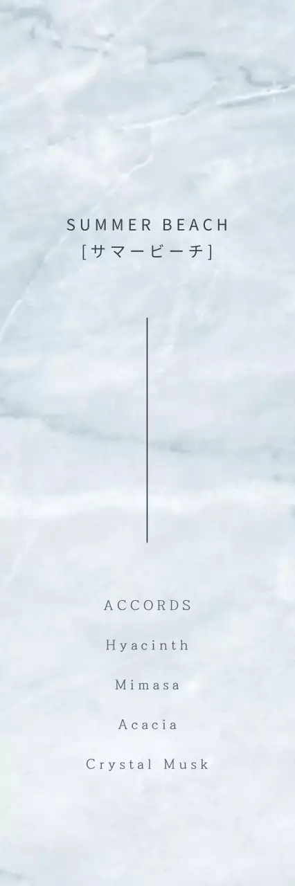 夏のビーチ 행택