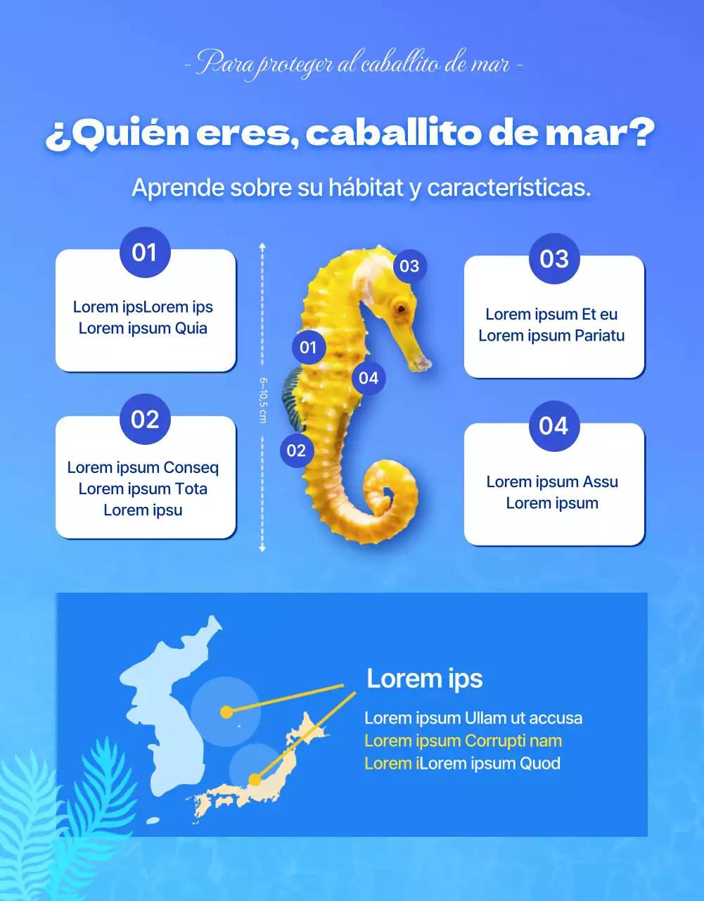 Caballitos de mar, la criatura marina en peligro de extinción del agua azul y fríaDetalles sobre la financiación de la conservación de los caballitos de mar