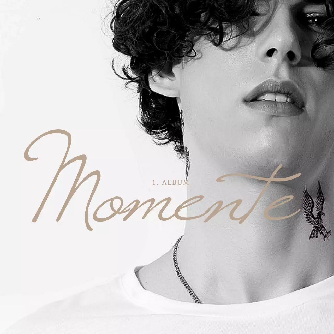 Weiße, einfache Ökotasche für Fotoartikel