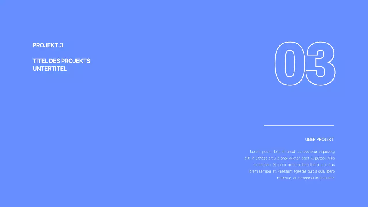 Entwicklerportfolio in blau