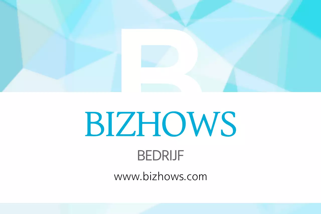 BIZHOWS