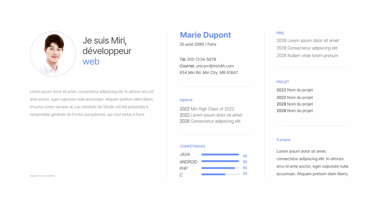 Portefeuille du développeur en bleu