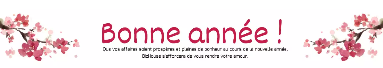 42010_Costume du Nouvel An