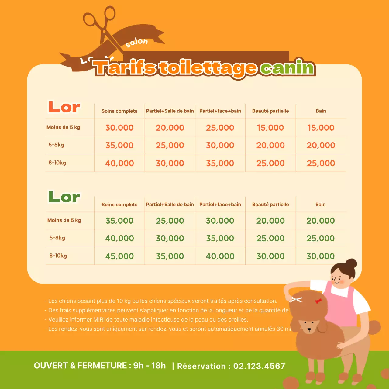 Promotion pour le toilettage d'un mignon chien jaune et vert