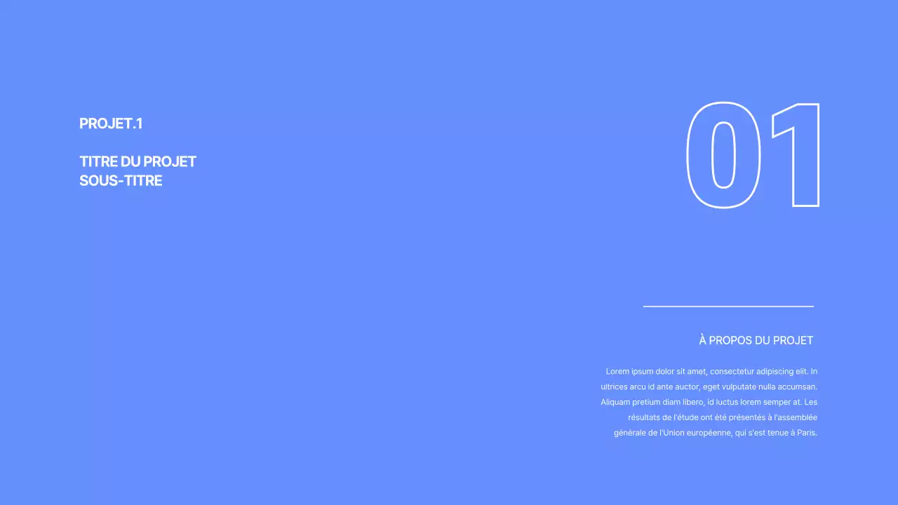 Portefeuille du développeur en bleu