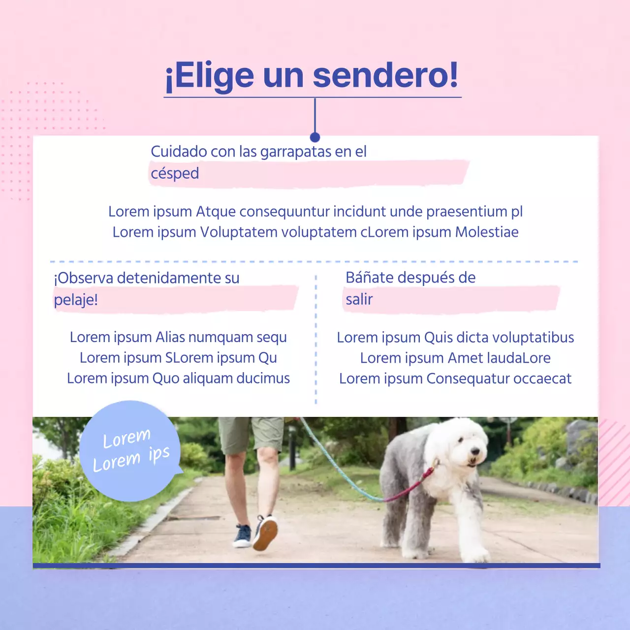 Guía para cuidar a tu cachorro rosa y celeste