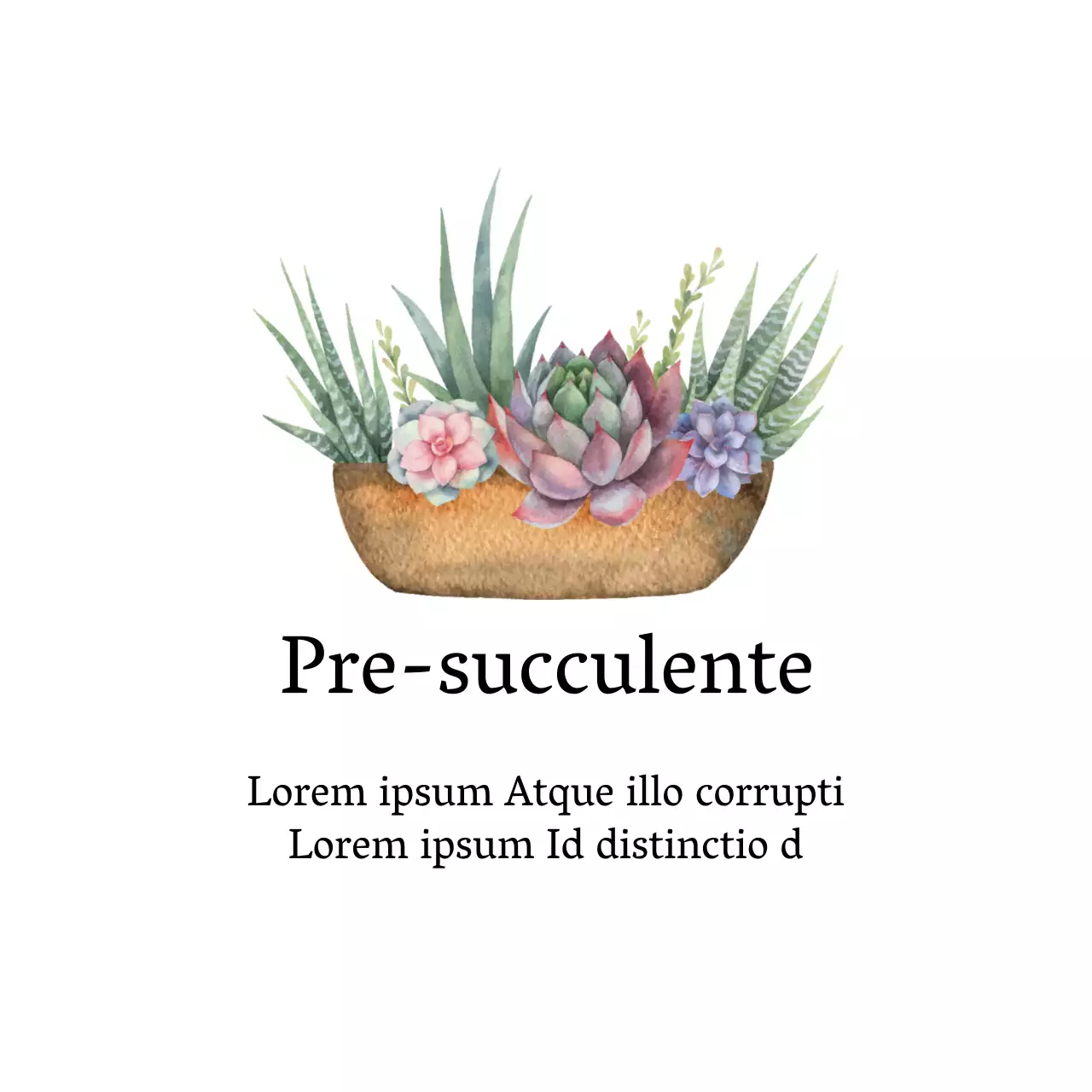 Etichette bianche illustrate e pulite per giardini botanici