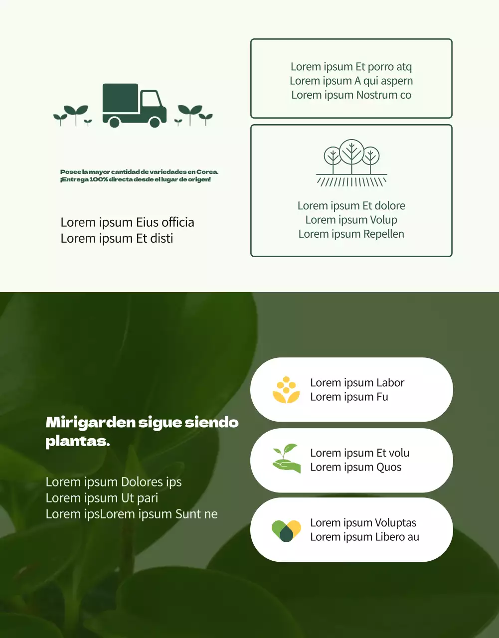 Una tienda especializada en suculentas verdes y adorables (más)