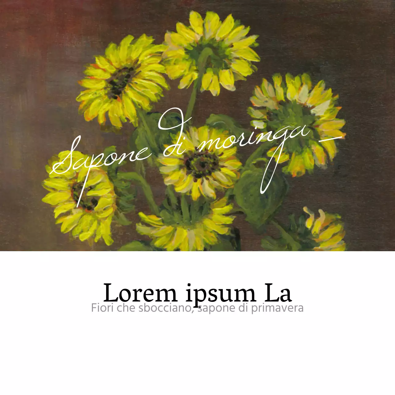 Quando i fiori sbocciano e la primavera