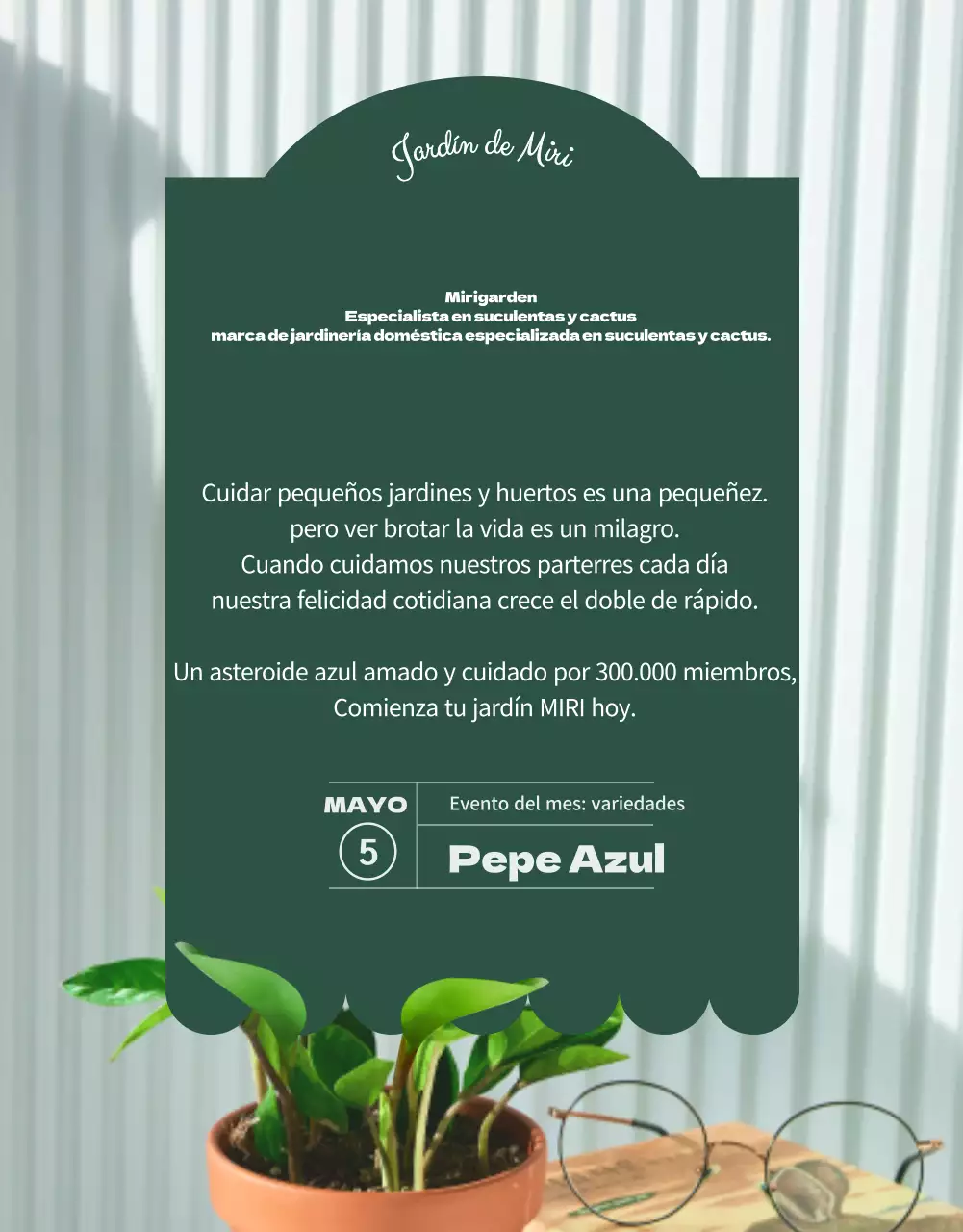 Una tienda especializada en suculentas verdes y adorables (más)