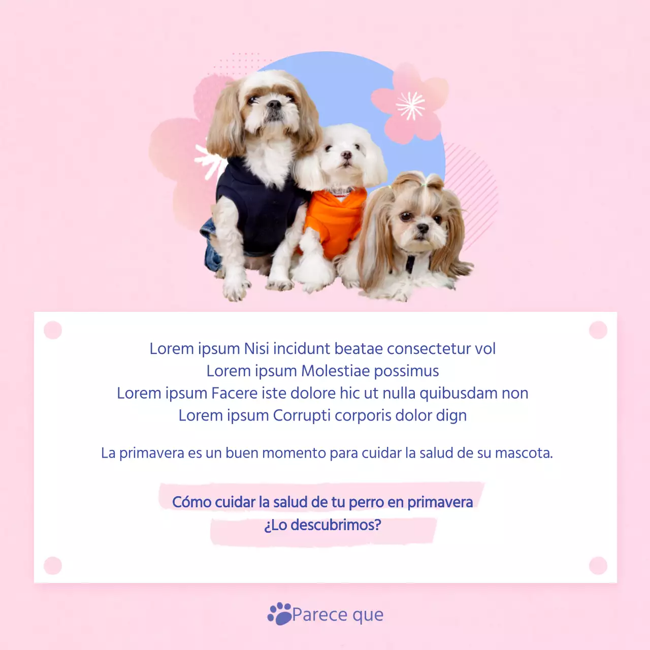 Guía para cuidar a tu cachorro rosa y celeste