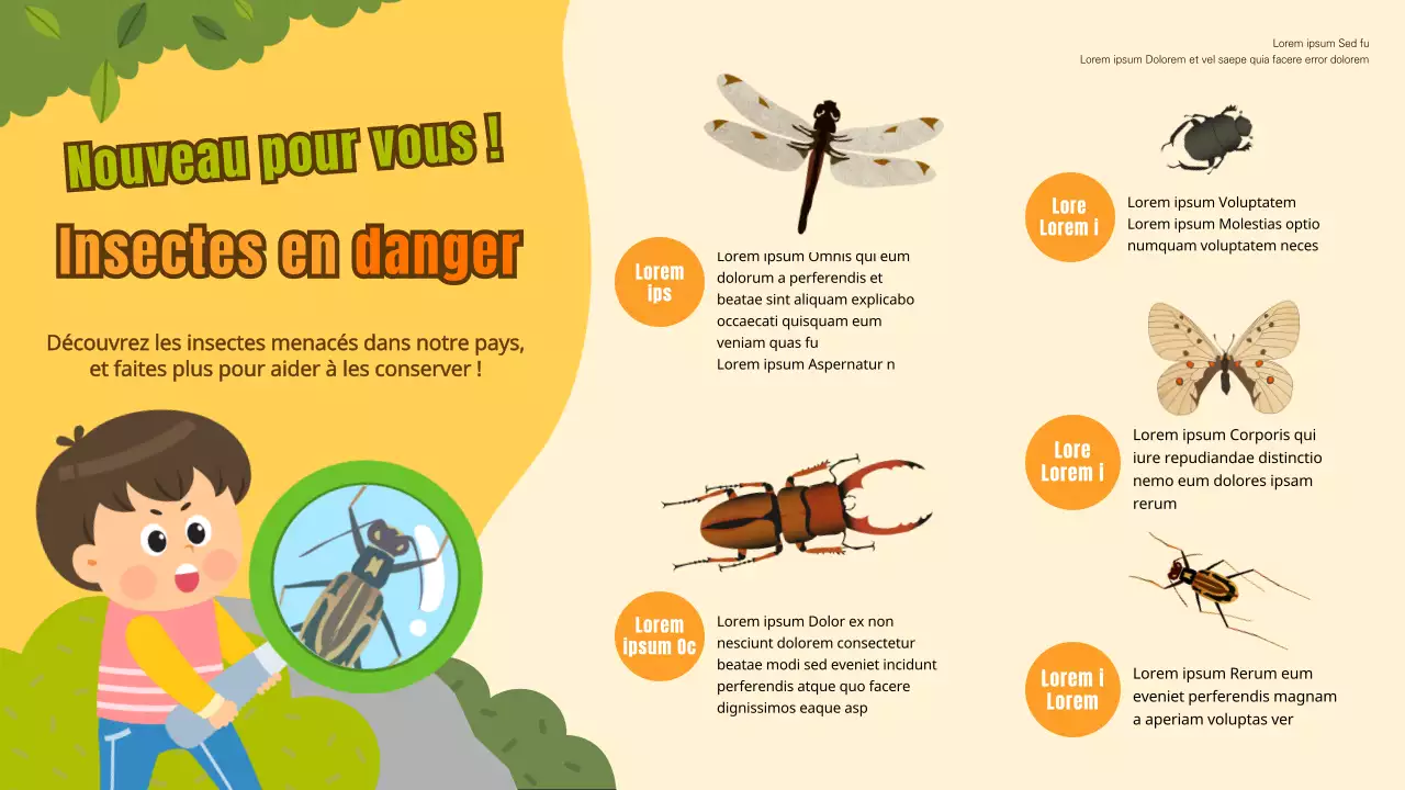 Infographie sur les insectes menacés de Yellow Yellow