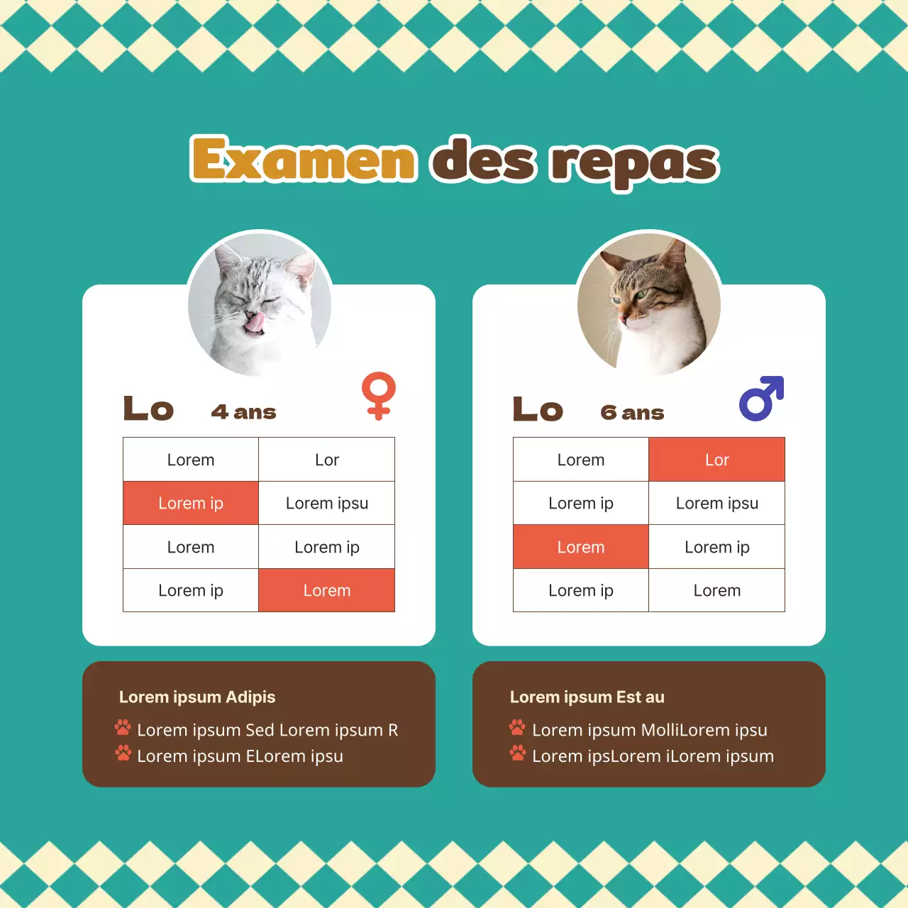 A propos de cette nourriture chaude et câline pour chat et chien en turquoise et marron