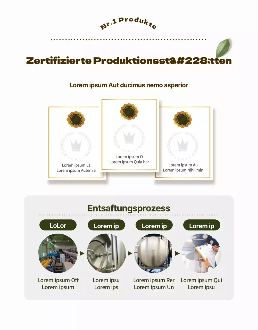 Eine helle, saubere Einführung in das gesunde Entsaften (Detailseite)