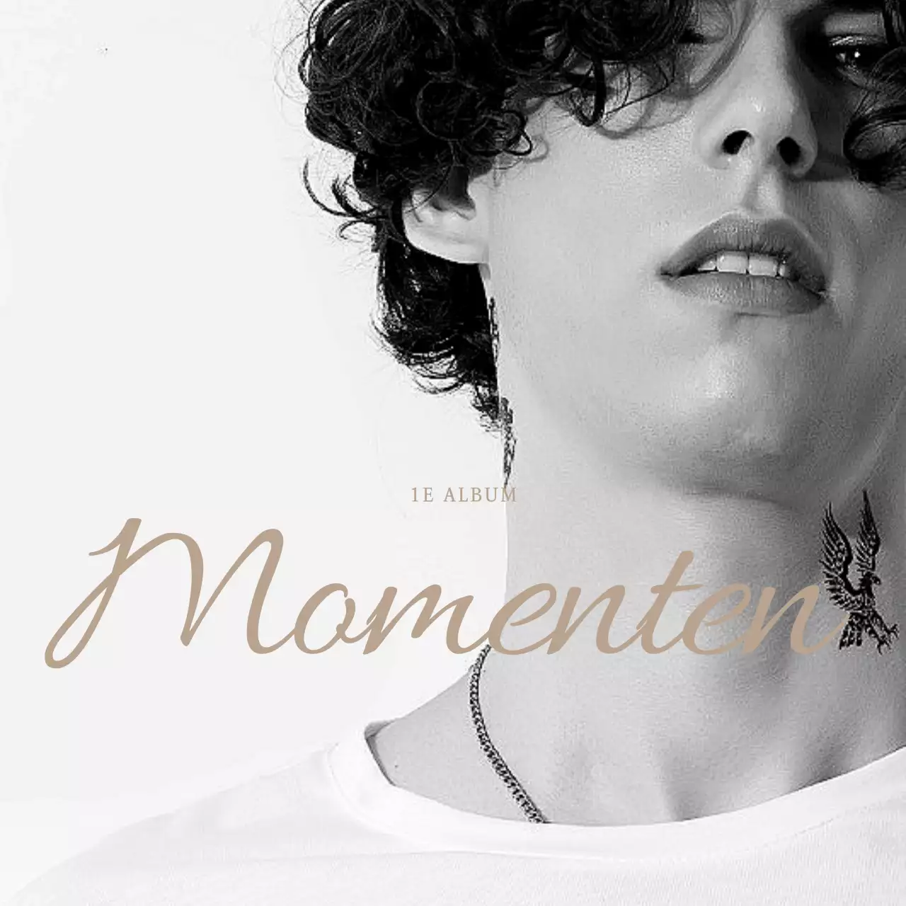 Witte eenvoudige eco-tas voor fotografie merchandise