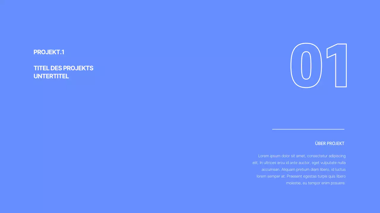 Entwicklerportfolio in blau