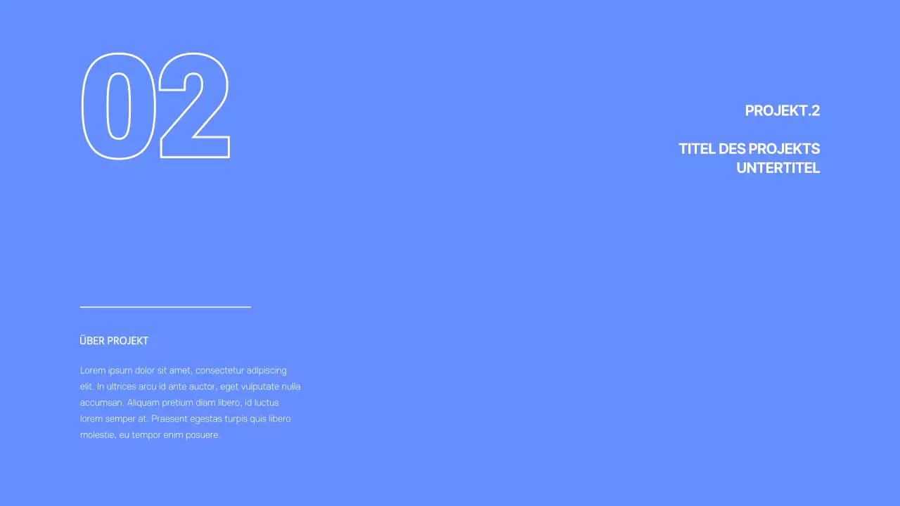 Entwicklerportfolio in blau