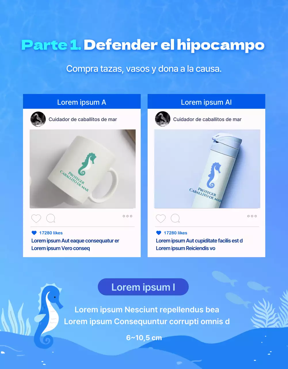 Caballitos de mar, la criatura marina en peligro de extinción del agua azul y fríaDetalles sobre la financiación de la conservación de los caballitos de mar