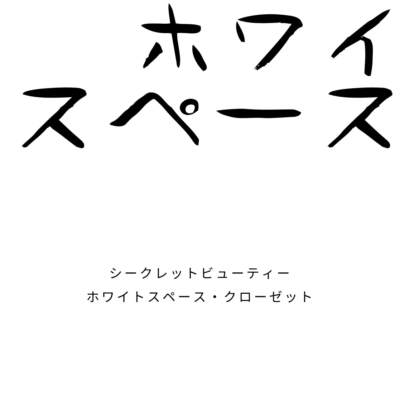 白いクローゼットの中の秘密の美しさ