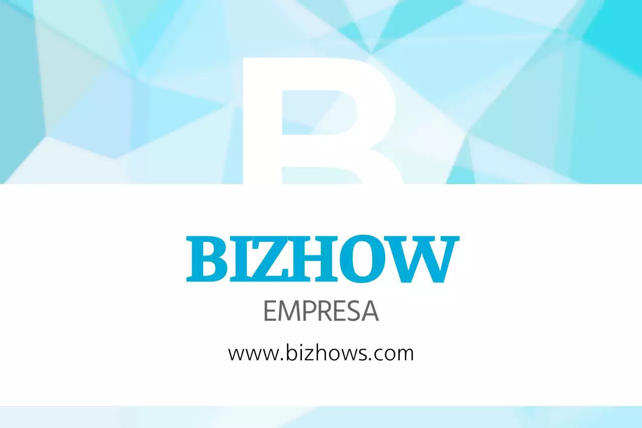 BIZHOWS