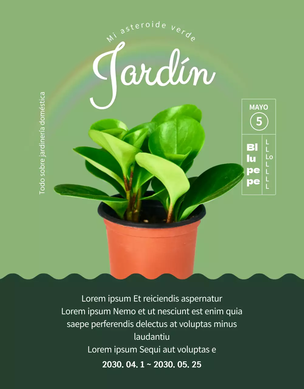 Una tienda especializada en suculentas verdes y adorables (más)