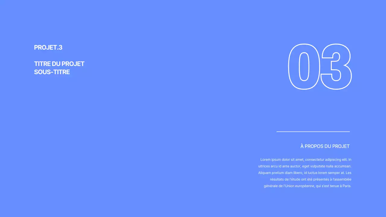 Portefeuille du développeur en bleu