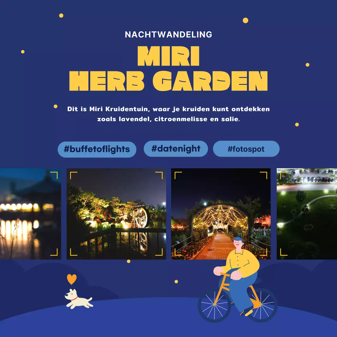 Een gids voor marineblauwe en gele nachtattracties