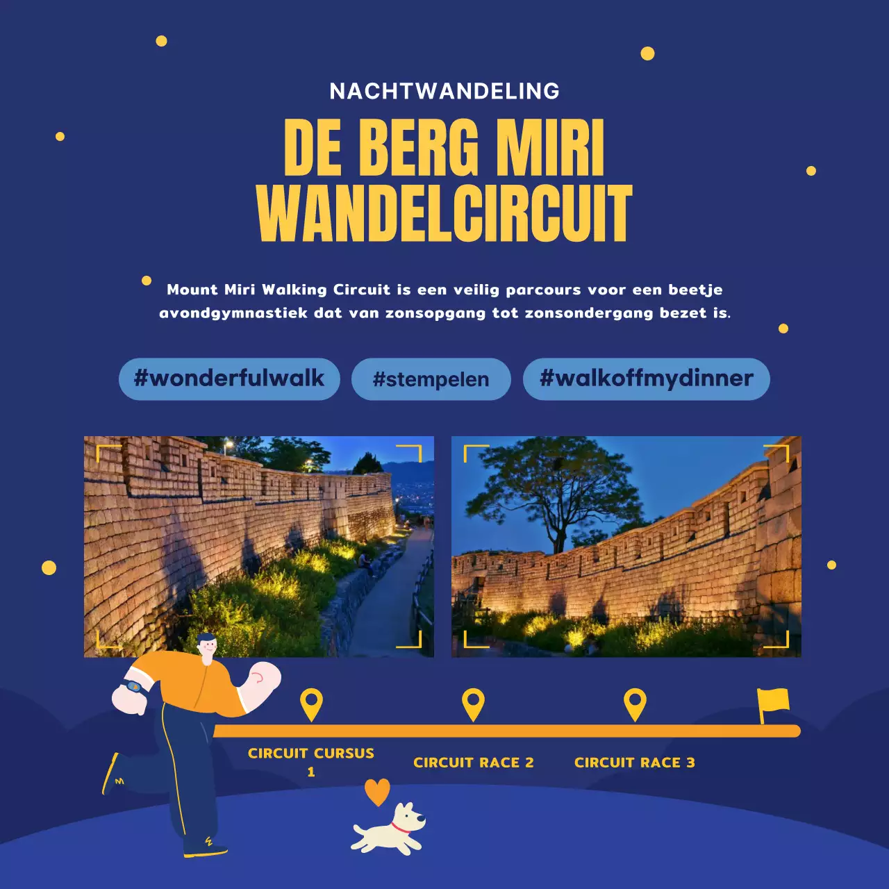 Een gids voor marineblauwe en gele nachtattracties