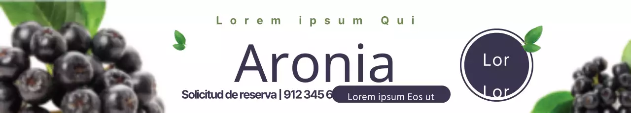 Aronia