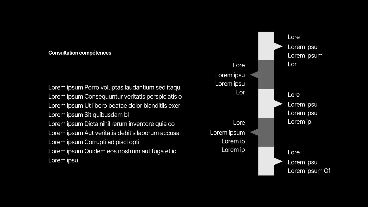 Infographie sur la gestion de projet avec un concept en noir et blanc
