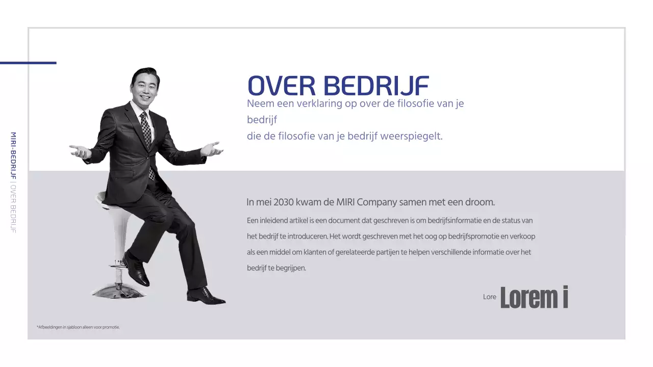 Een eenvoudig bedrijfsprofiel in marineblauw en grijs