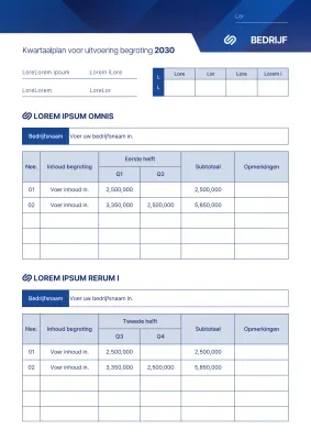 Driemaandelijks budgetuitvoeringsplan in blauwe grafische stijl