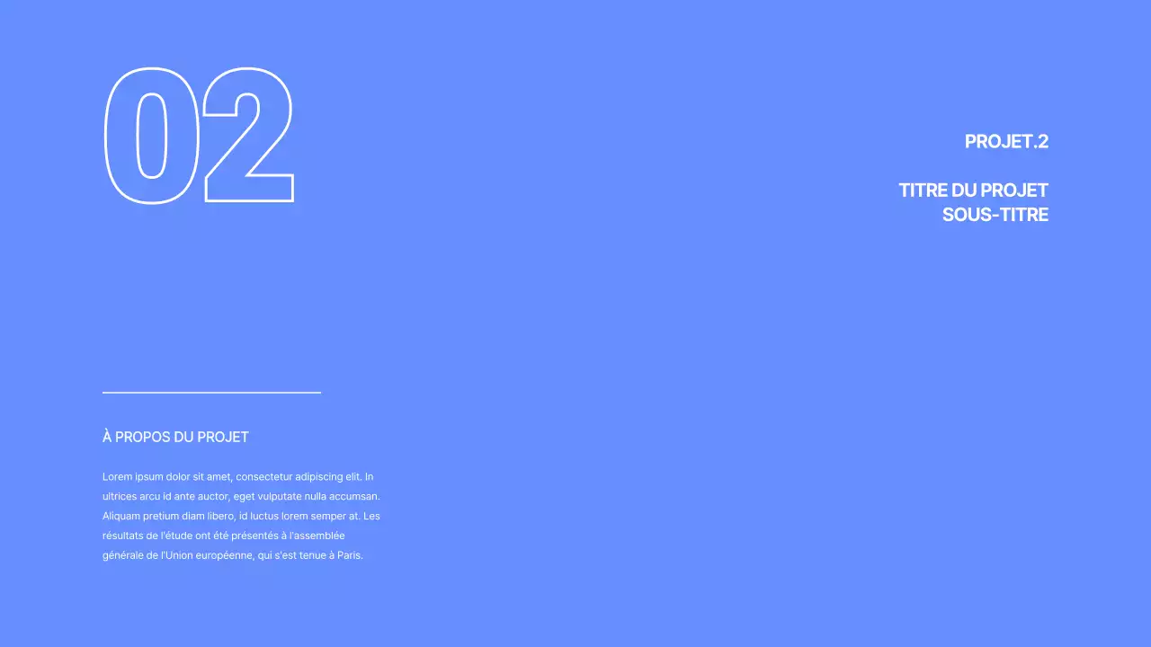 Portefeuille du développeur en bleu