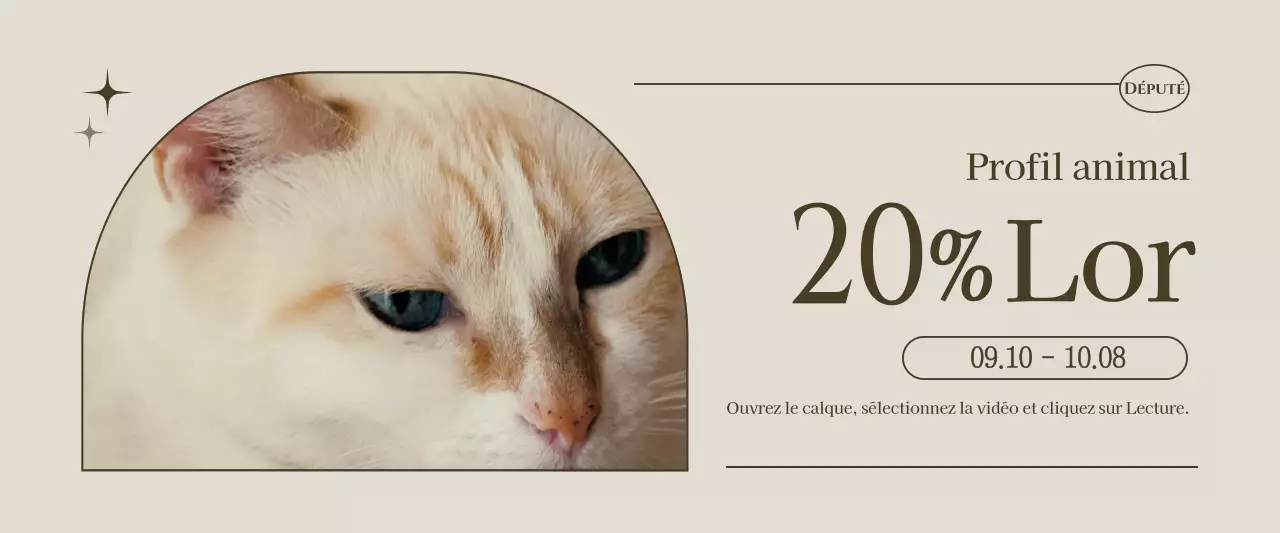 Promouvoir un studio photo au concept brun et émotionnel