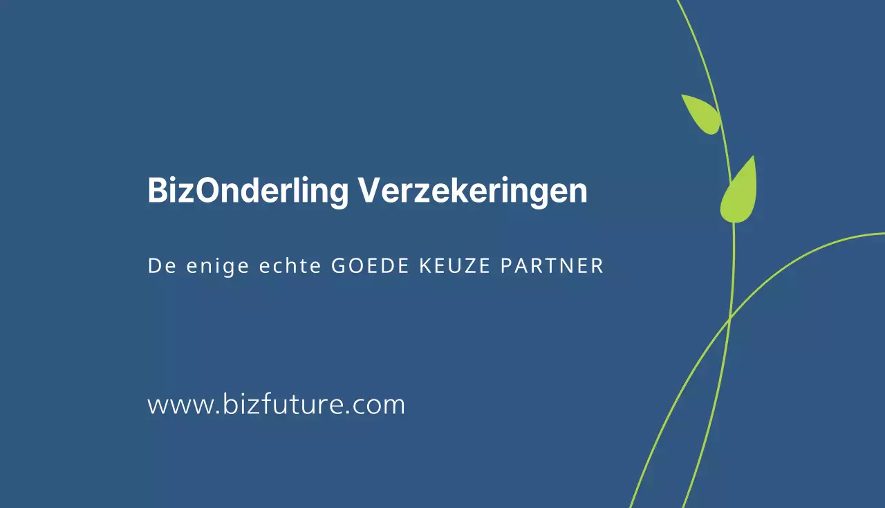 BizMirae Verzekeringen