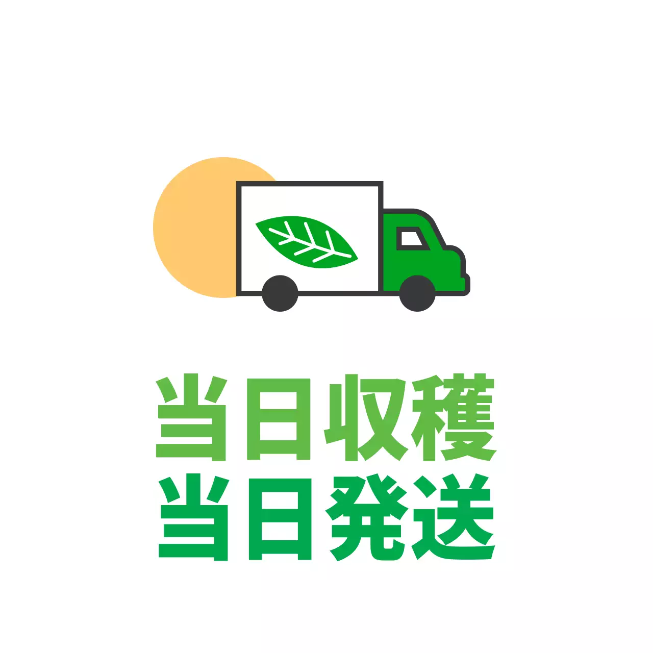 農産物の当日収穫