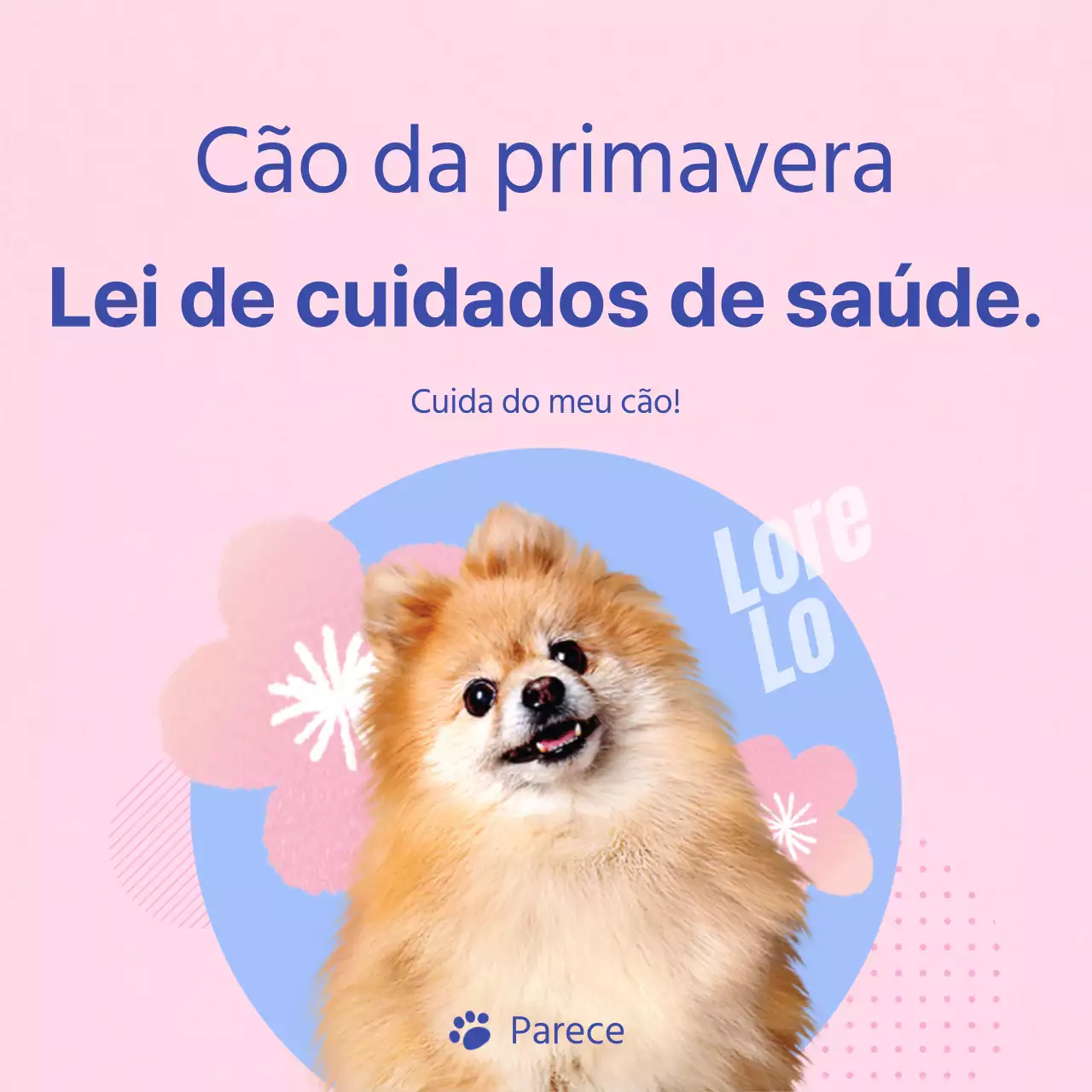 Um guia para cuidar do seu cachorro cor-de-rosa e azul-claro