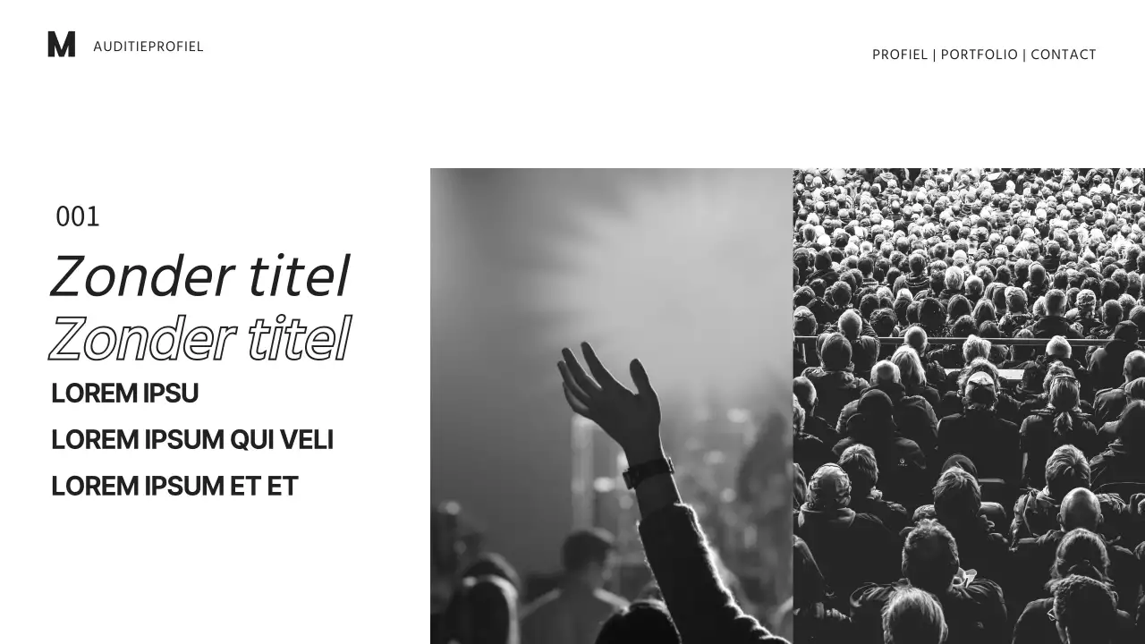 Entertainment portfolio