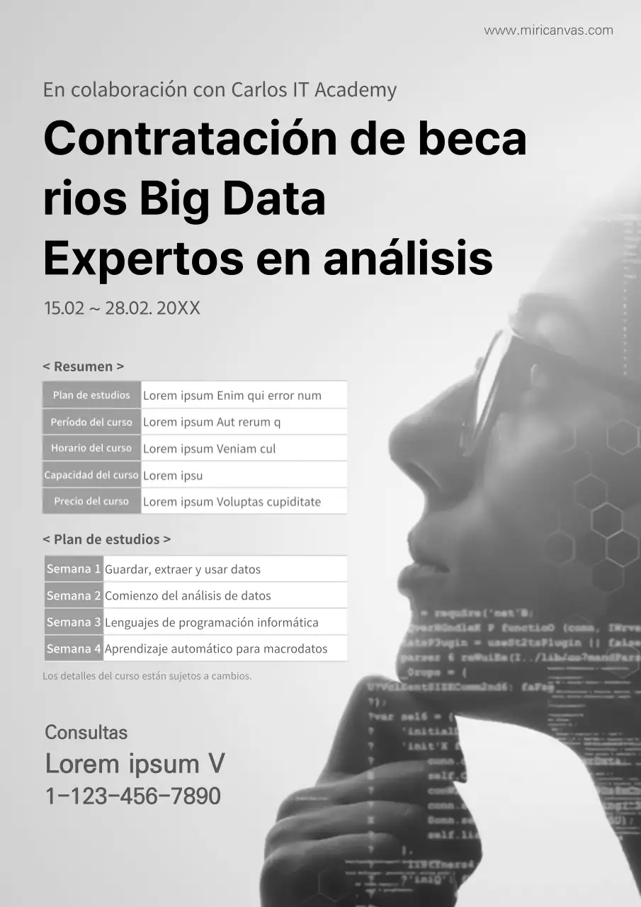 Contratación de expertos para formar a profesionales de análisis de big data con formación gris IT Academy