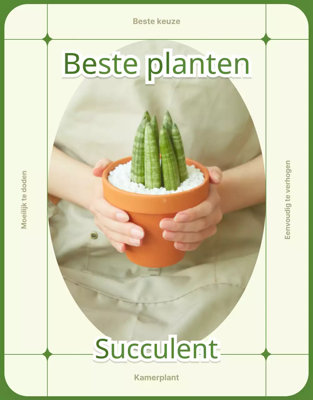 Vetplanten groen en beige detailpagina