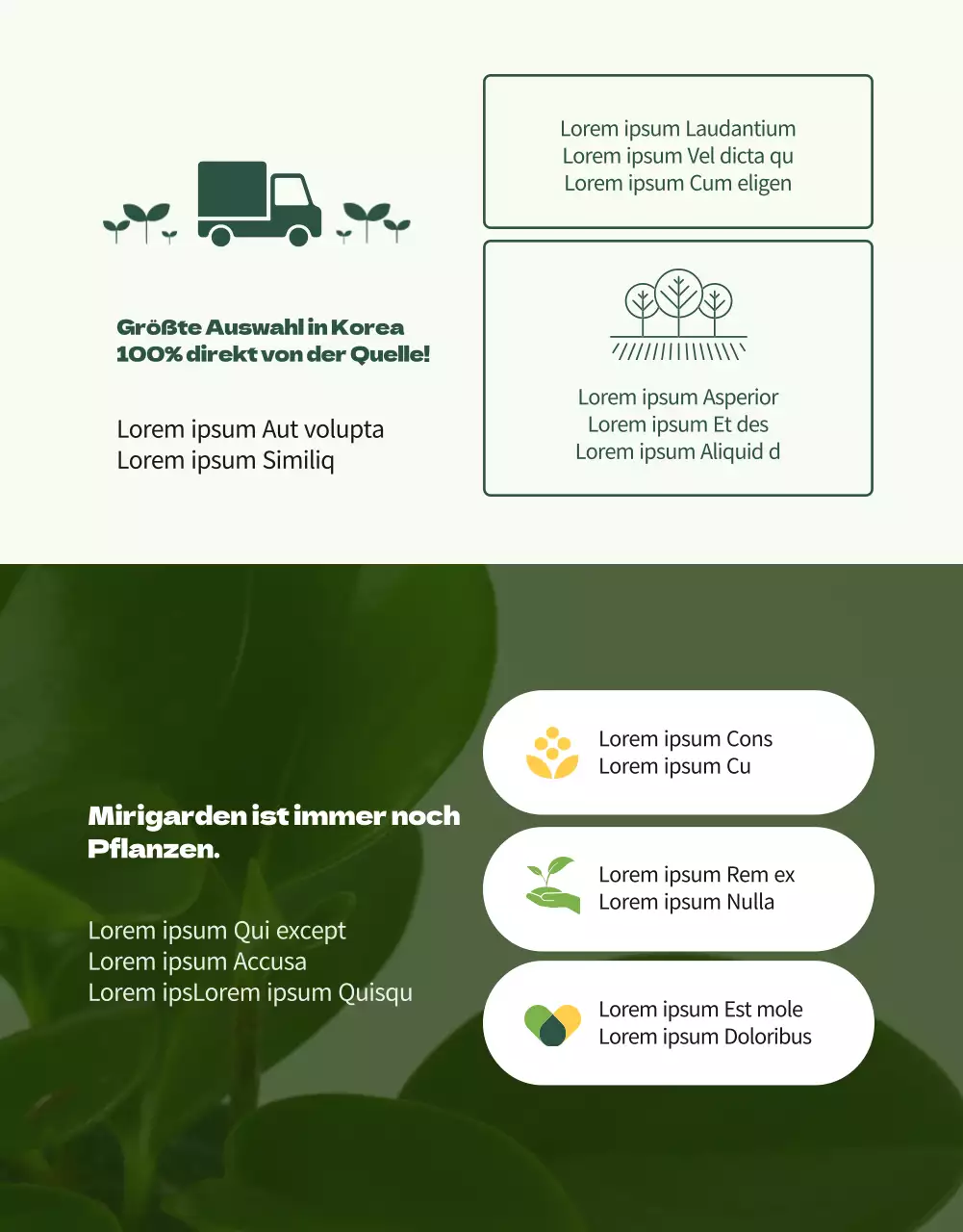 Ein Geschäft, das sich auf grüne und bezaubernde Sukkulenten spezialisiert hat (mehr)