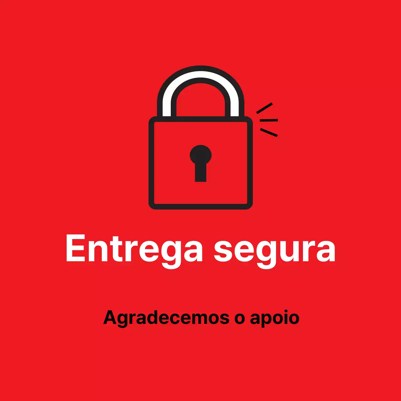 45212_Entrega segura