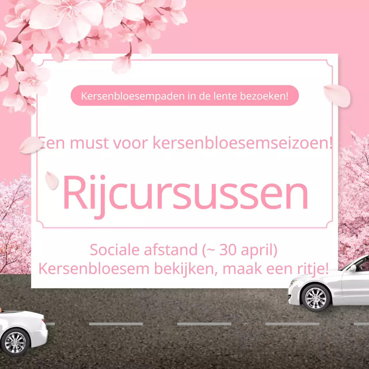 Rijcursus kersenbloesem met roze lentethema