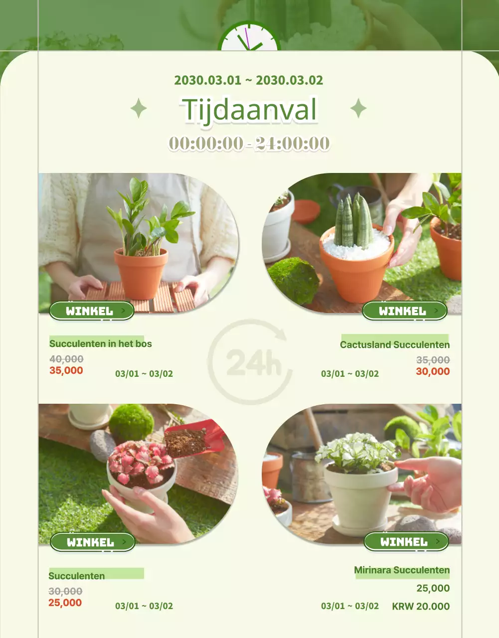 Vetplanten groen en beige detailpagina