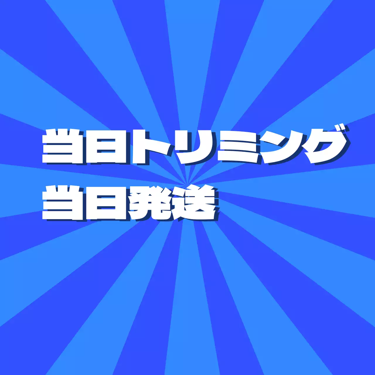 当日トリミング・当日発送