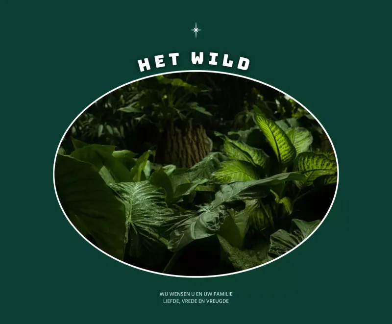 Emotioneel frame-concept in donkergroen en wit voor gepersonaliseerde merchandise