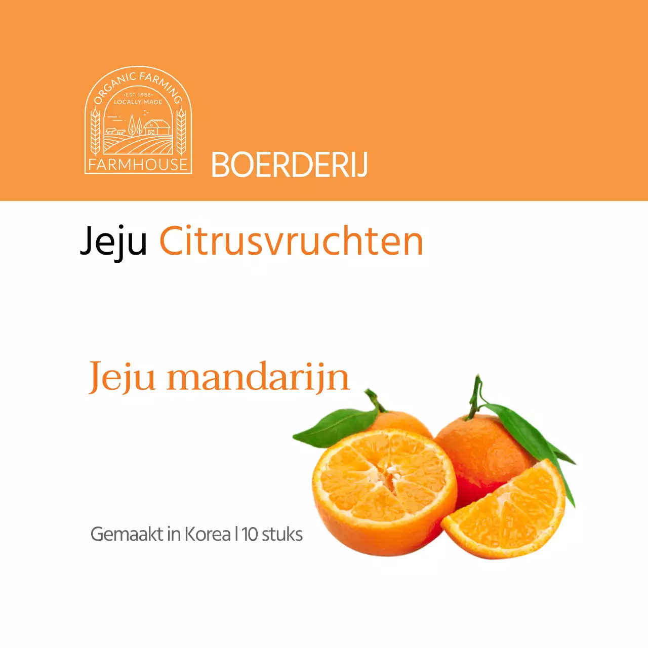 Sinaasappel Eenvoudige Jeju Citrus Sticker