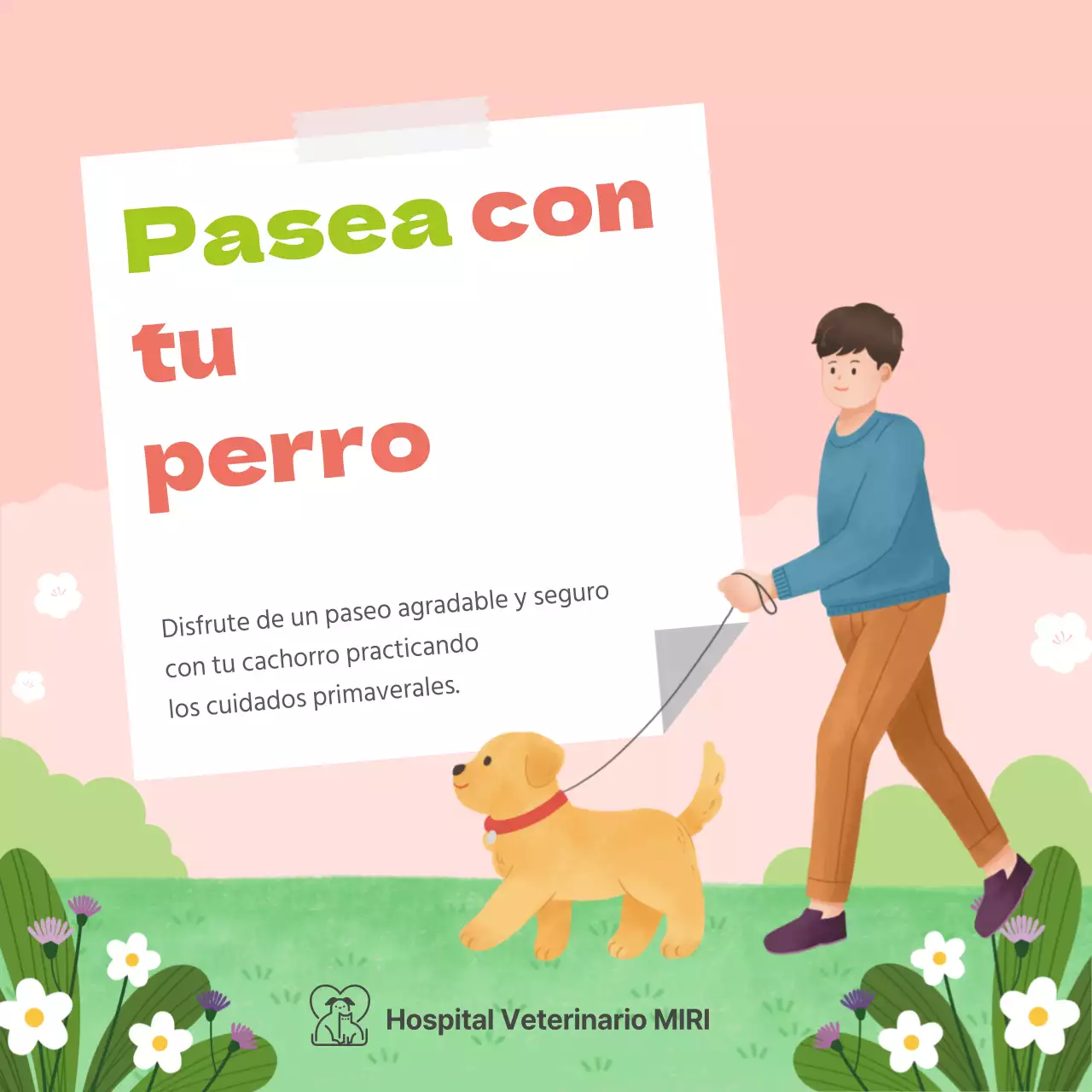 Consejos de salud primaverales para cachorros de colores pastel