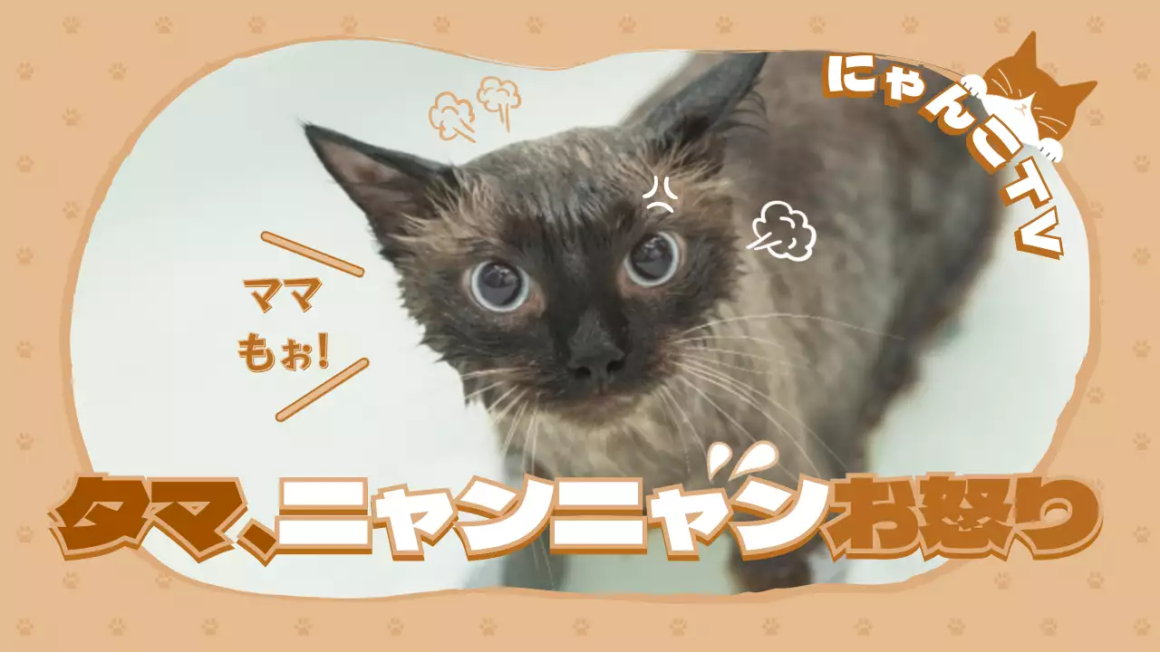 ベージュ かわいい 猫 ポスター YouTube サムネイル
