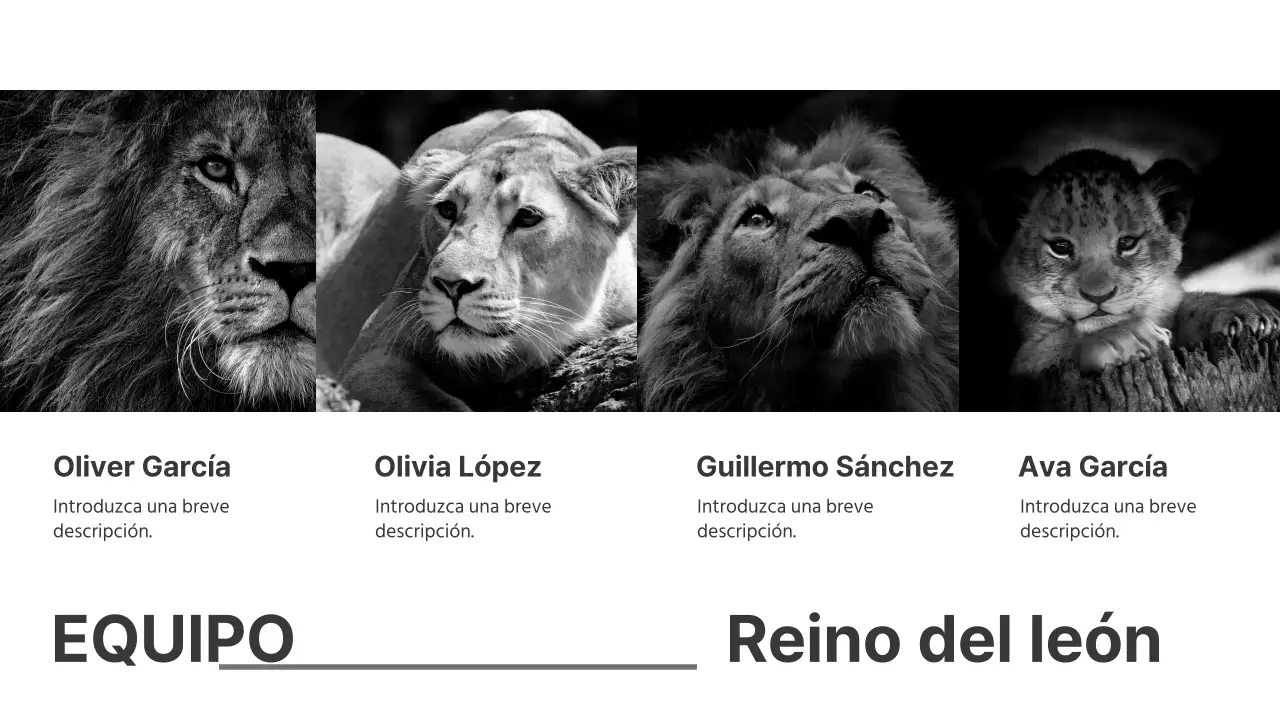 Presentaciones en blanco y negro